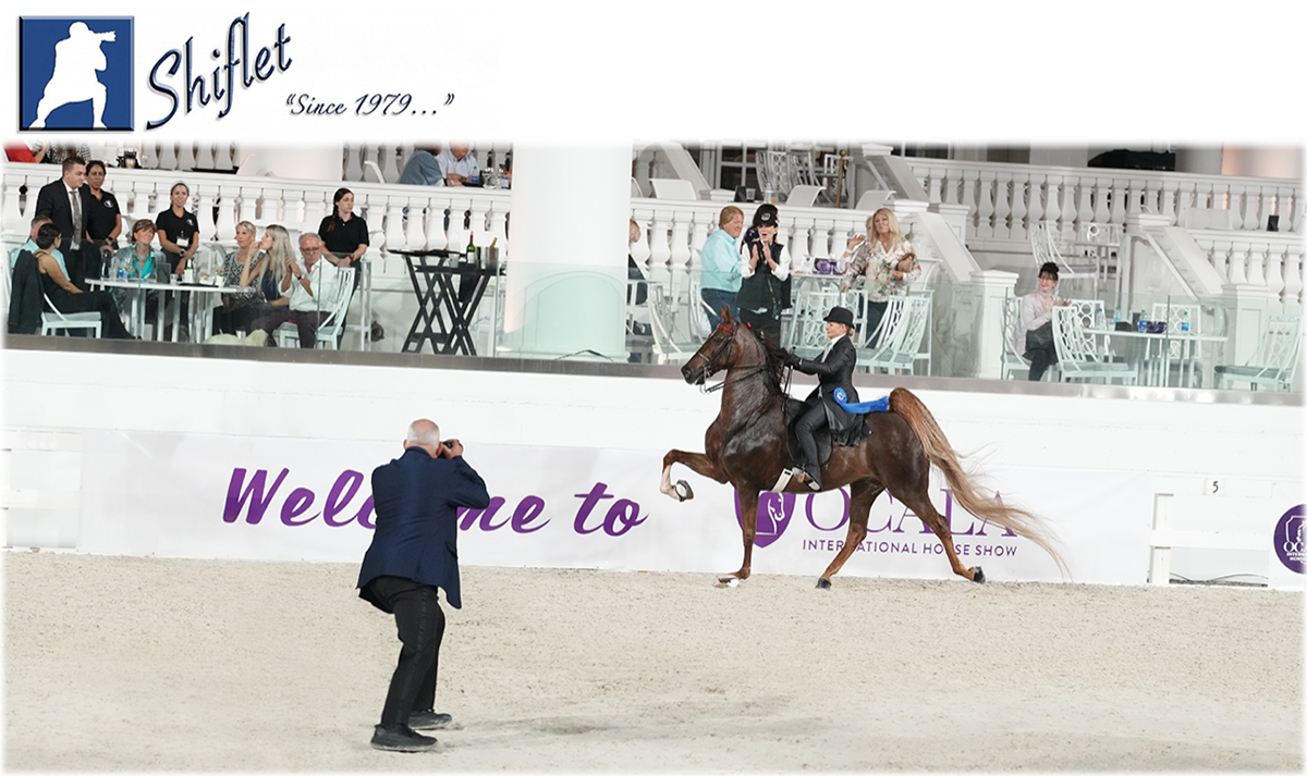 Home page-Ocala2.png